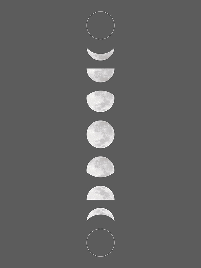 Free Moon Phase Print Download and Pattern tutorial with Snapbox | Squirrelly Minds