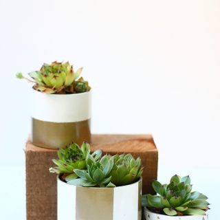 DIY | PVC Pipe Planter