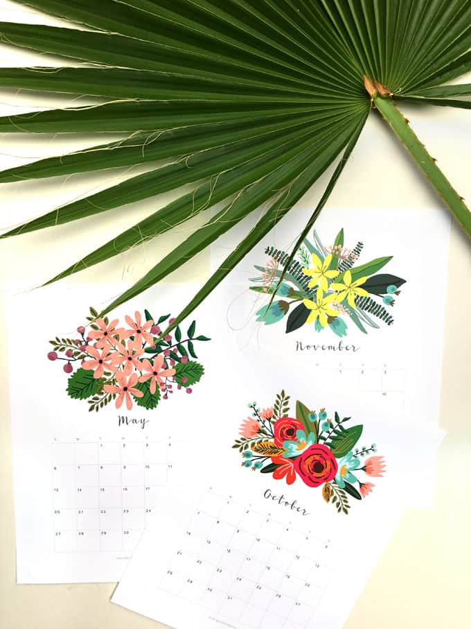 40+ Free Printable 2018 Calendars | Squirrelly Minds - Photo by