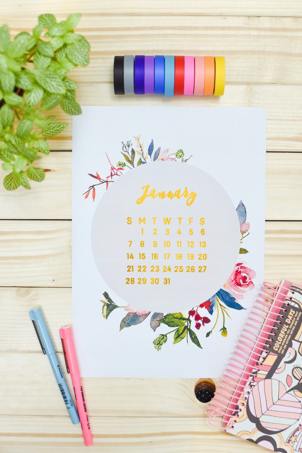 40+ Free Printable 2018 Calendars | Squirrelly Minds - Photo by Enthralling Gumption