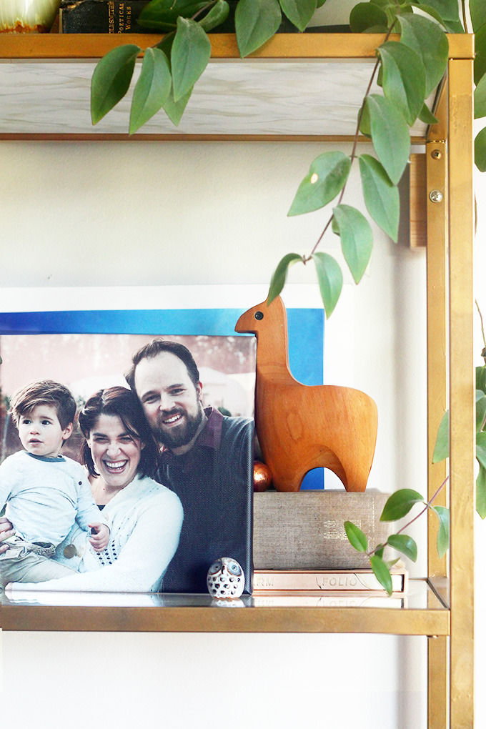 Family Portraits Printed on Canvas with Best Canvas | Squirrelly Minds